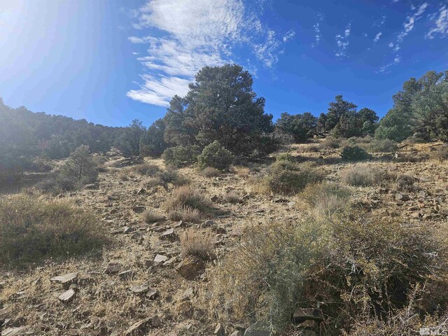 2360 Lousetown, Reno, NV 89521 - photo 26