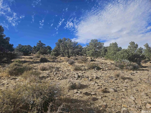 2360 Lousetown, Reno, NV 89521 - photo 27