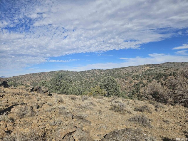 2360 Lousetown, Reno, NV 89521 - photo 28