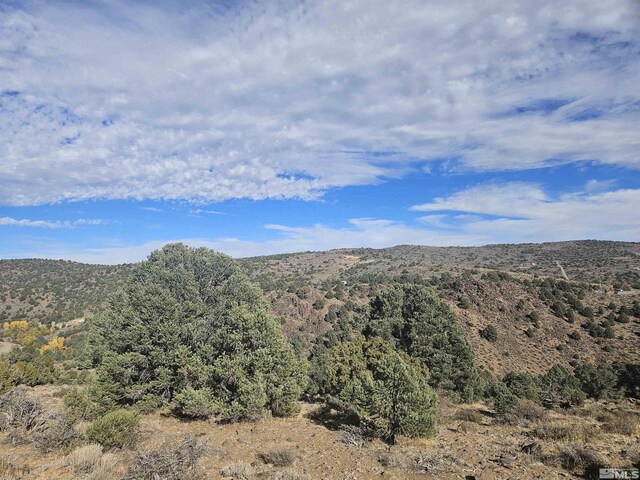 2360 Lousetown, Reno, NV 89521 - photo 31
