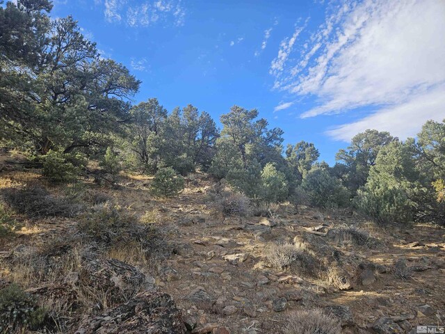 2360 Lousetown, Reno, NV 89521 - photo 35