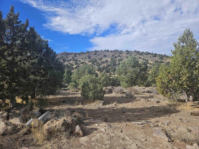 2360 Lousetown, Reno, NV 89521 - photo 38
