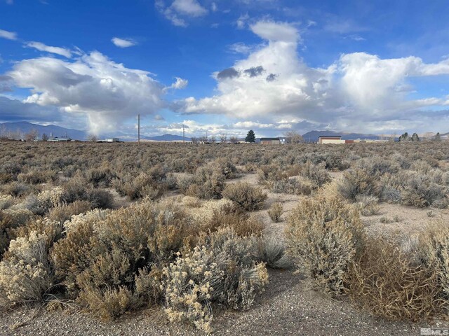 62 Acciari Rd, Smith, NV 89430