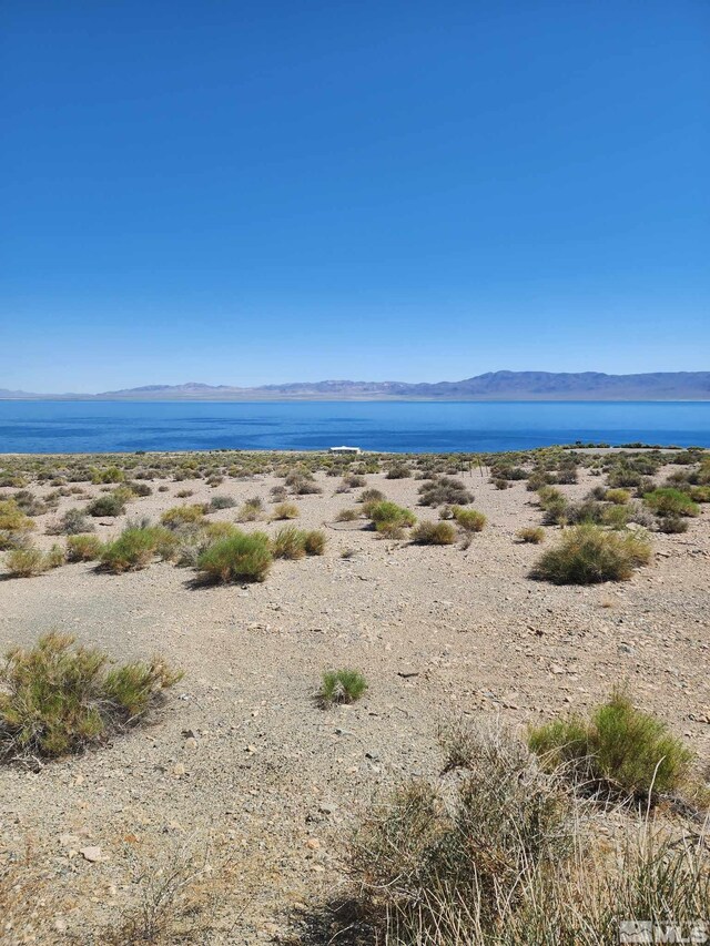 800 Hwy 95, Walker Lake, NV 89415 - photo 4