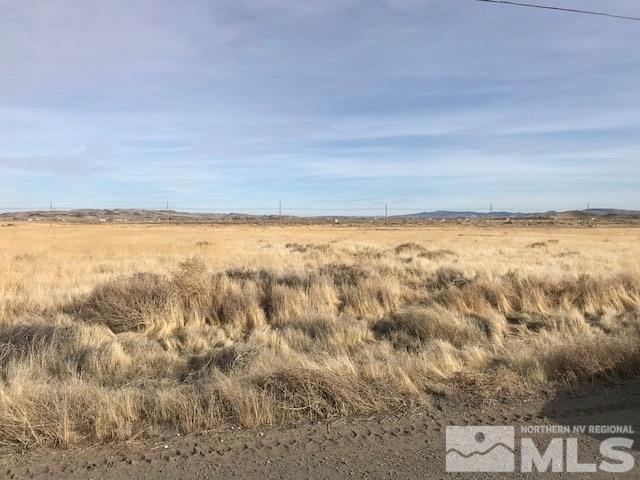 4650 Deodar, Silver Springs, NV 89429 - photo 1