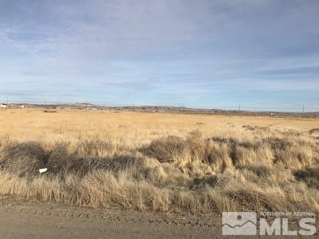 4650 Deodar, Silver Springs, NV 89429 - photo 2