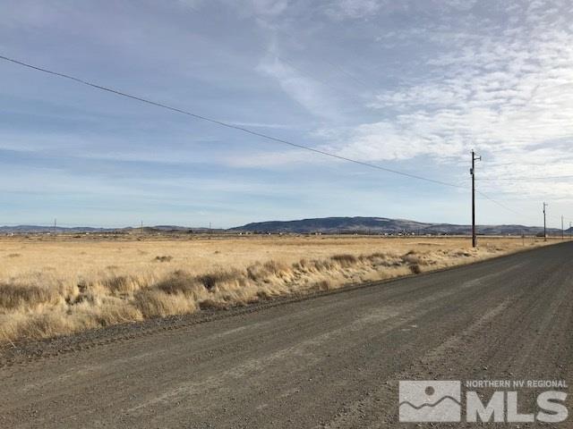 4650 Deodar, Silver Springs, NV 89429 - photo 3
