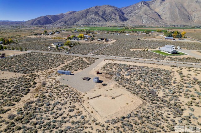 10 Walters Ln, Wellington, NV 89444