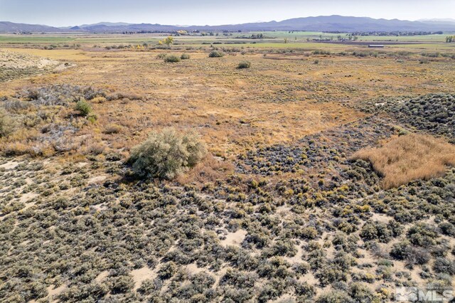 10 Walters Ln, Wellington, NV 89444