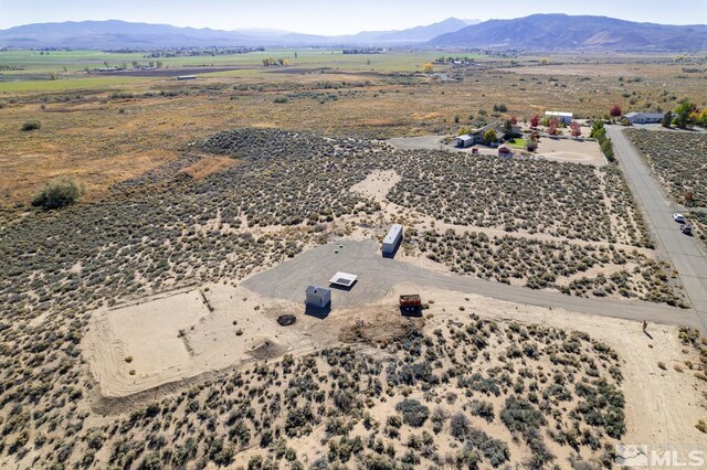 10 Walters Ln, Wellington, NV 89444
