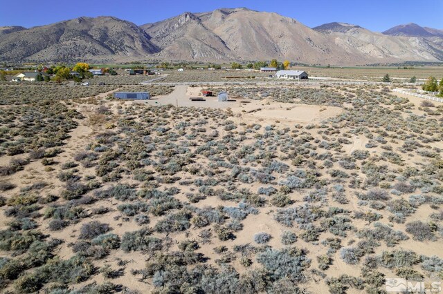10 Walters Ln, Wellington, NV 89444