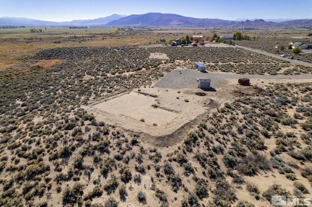 10 Walters Ln, Wellington, NV 89444