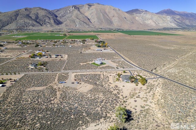 10 Walters Ln, Wellington, NV 89444