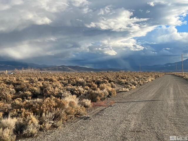 6 Acciari Rd, Smith, NV 89430