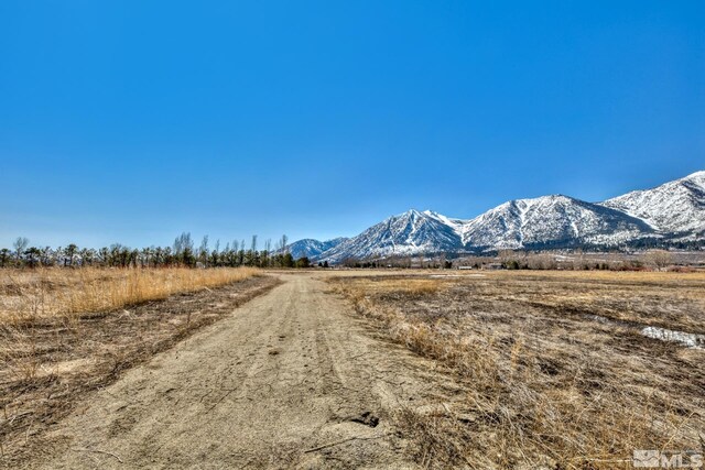 584 W Fork Vista Ln, Gardnerville, NV 89460
