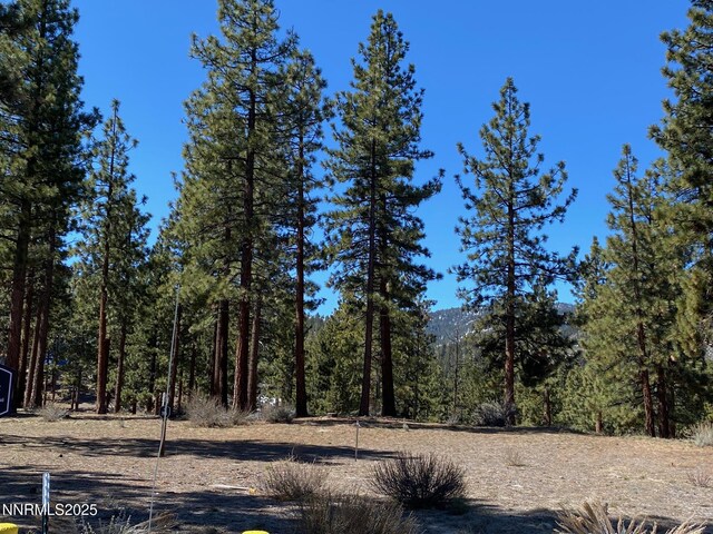 185 Dall Ct, Carson City, NV 89705 - photo 7