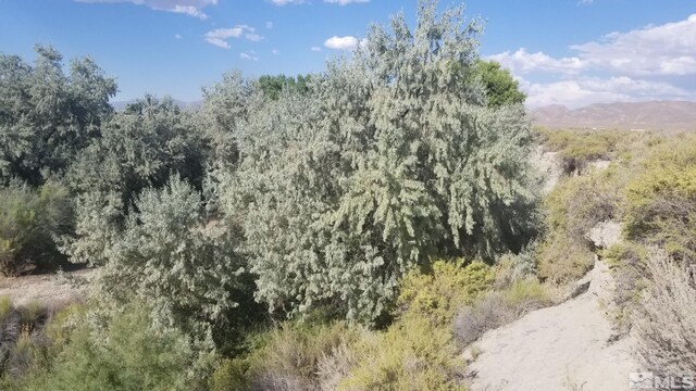 200 Raymond Rd, Lovelock, NV 89419