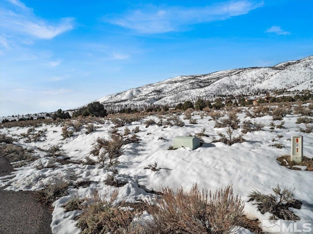 1534 Bolton Loop, Gardnerville, NV 89410
