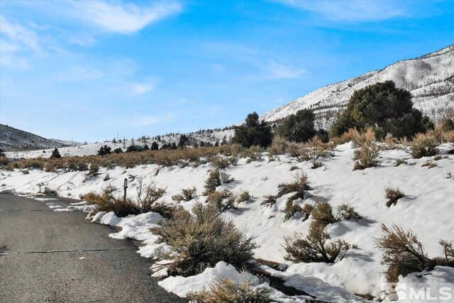 1534 Bolton Loop, Gardnerville, NV 89410