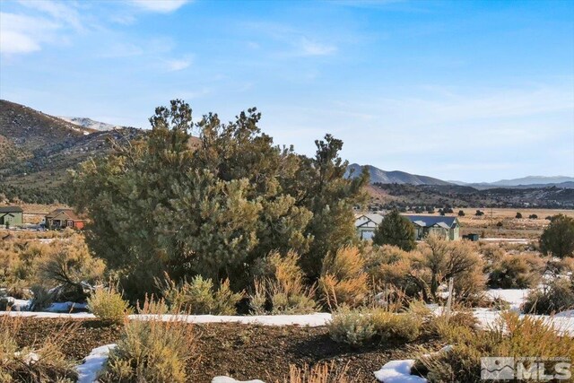 1534 Bolton Loop, Gardnerville, NV 89410