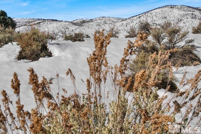 1534 Bolton Loop, Gardnerville, NV 89410