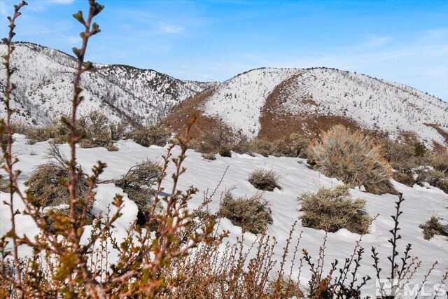 1534 Bolton Loop, Gardnerville, NV 89410