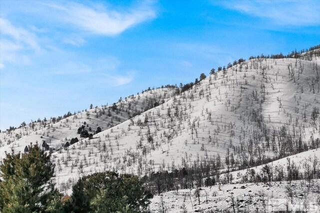 1534 Bolton Loop, Gardnerville, NV 89410