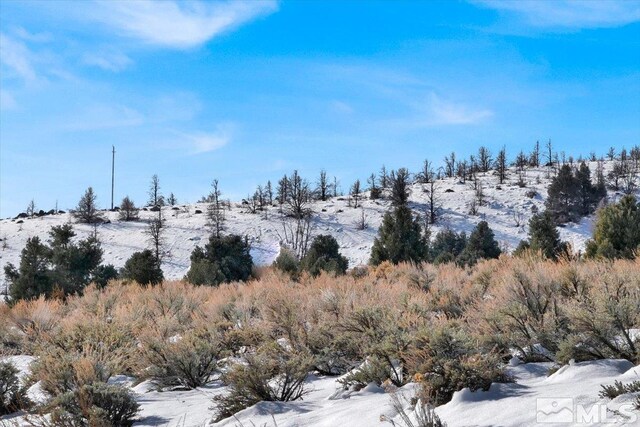 1534 Bolton Loop, Gardnerville, NV 89410