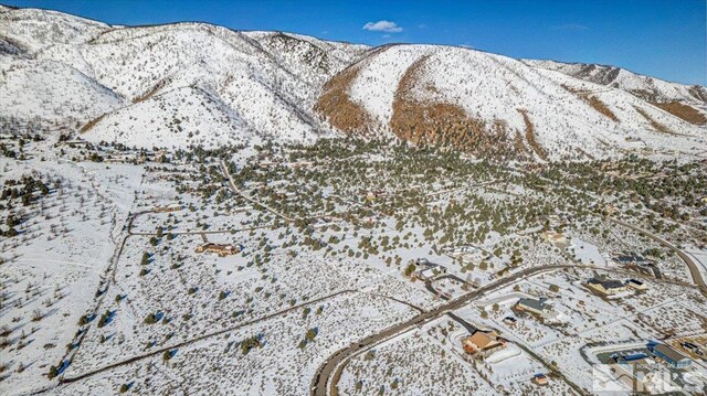 1534 Bolton Loop, Gardnerville, NV 89410