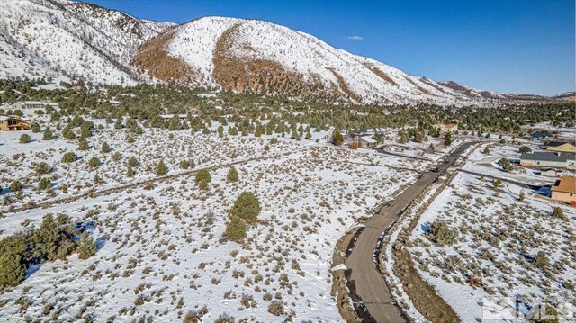 1534 Bolton Loop, Gardnerville, NV 89410