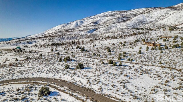 1534 Bolton Loop, Gardnerville, NV 89410