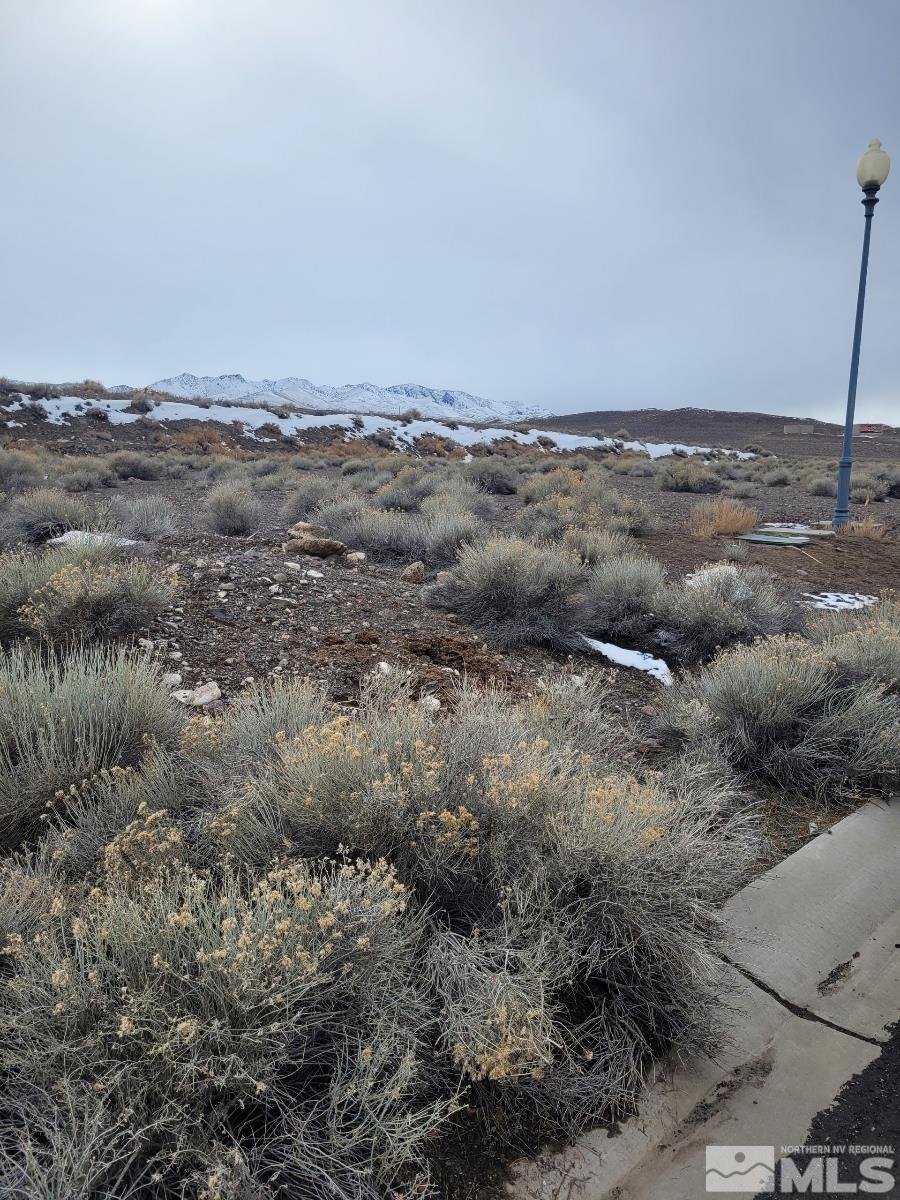 113-123 Sario Dr, Fernley, NV 89408