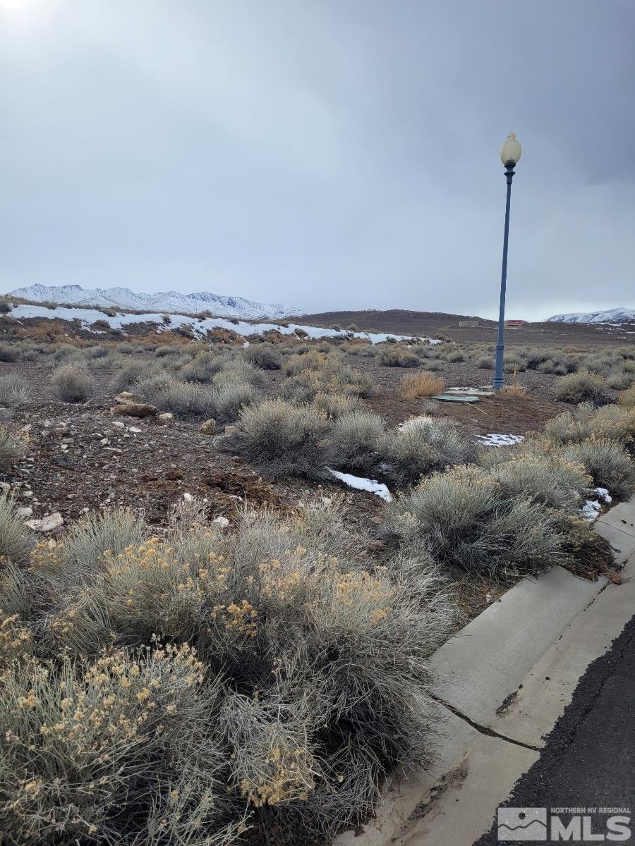 113-123 Sario Dr, Fernley, NV 89408