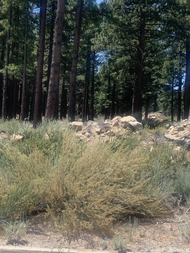 16485 Bonnie Ln, Reno, NV 89511