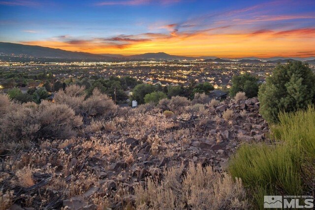 1815 Standing Rock Ct, Reno, NV 89521 - photo 4