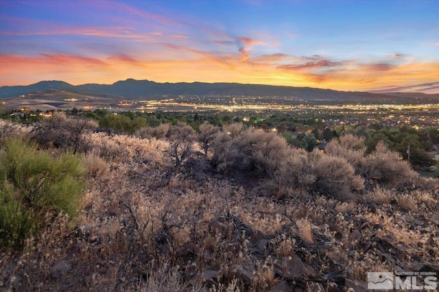 1815 Standing Rock Ct, Reno, NV 89521 - photo 5