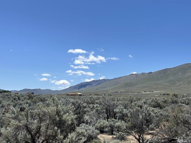 22905 Fetlock Dr, Reno, NV 89508 - photo 15