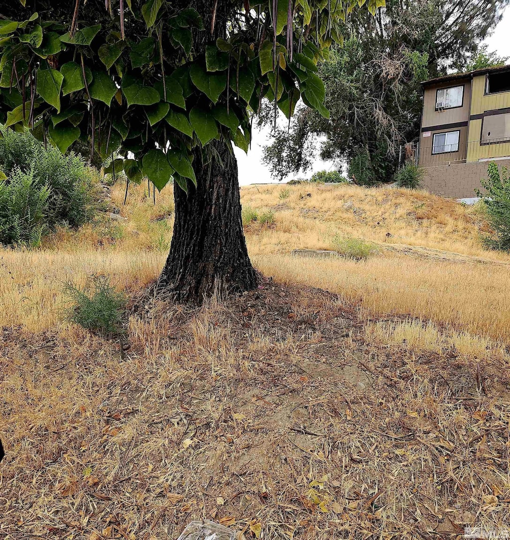 2065 Wedekind Rd, Reno, NV 89512