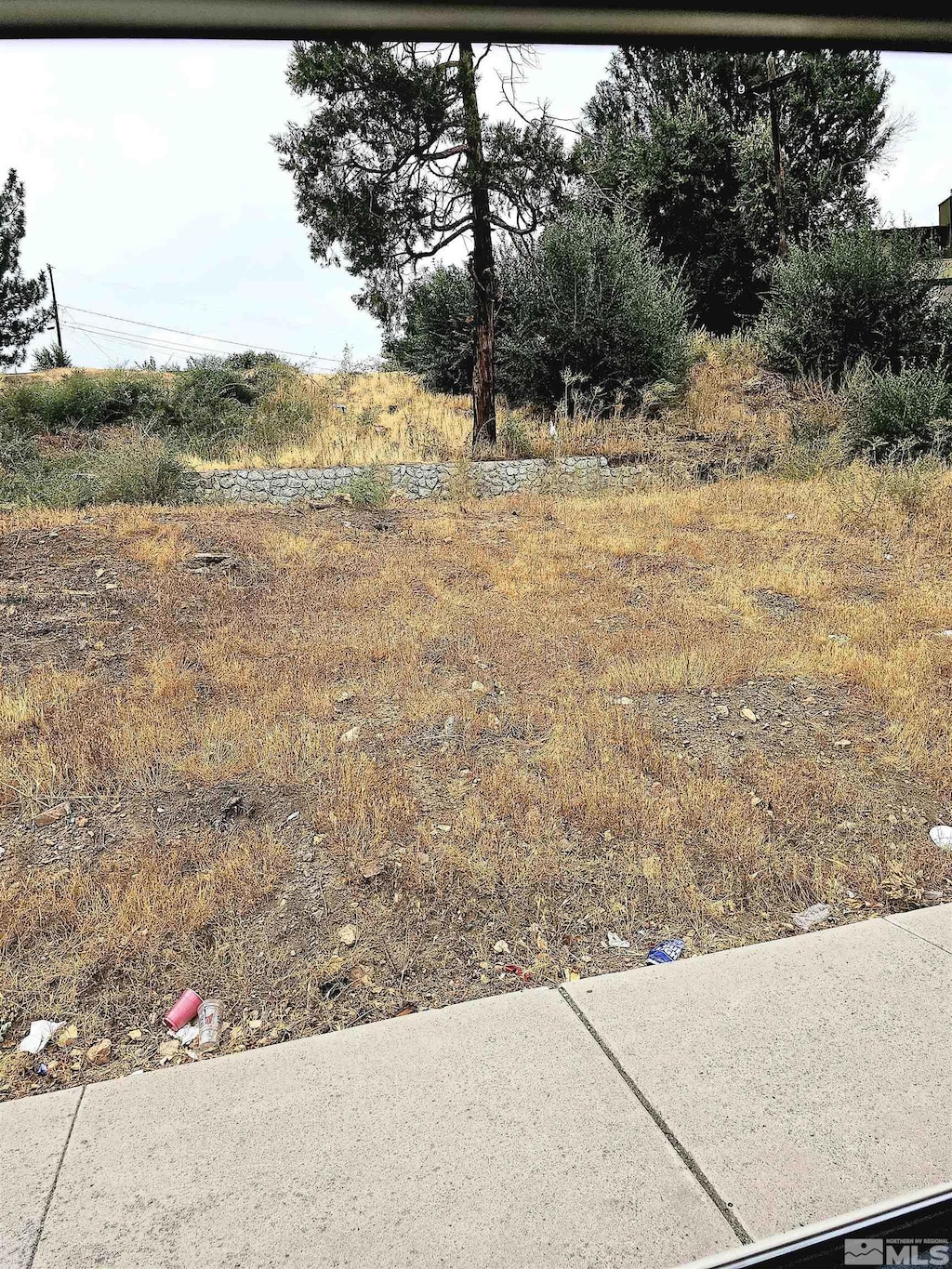 2065 Wedekind Rd, Reno, NV 89512
