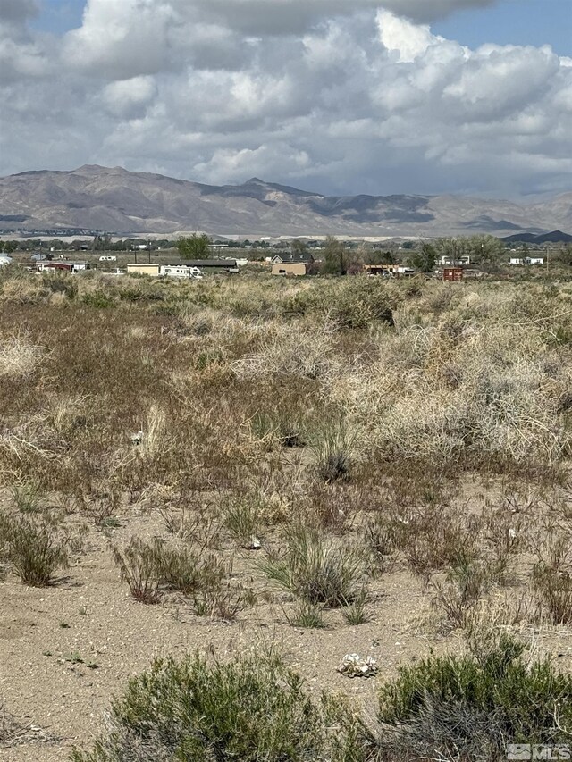Thurston Way, Yerington, NV 89447 - photo 10