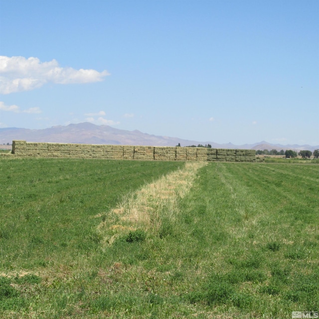 2677 Hwy 208, Smith, NV 89444 - photo 2