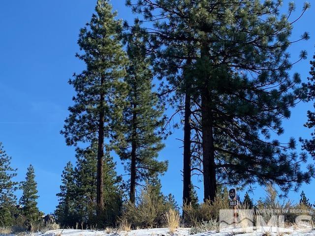 283 Mill Race Loop, Carson City, NV 89705