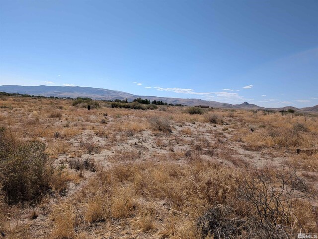 1485 E Badger St, Silver Springs, NV 89429