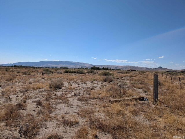 1485 E Badger St, Silver Springs, NV 89429