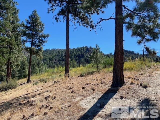 307 Senecas Ct, Carson City, NV 89705 - photo 4