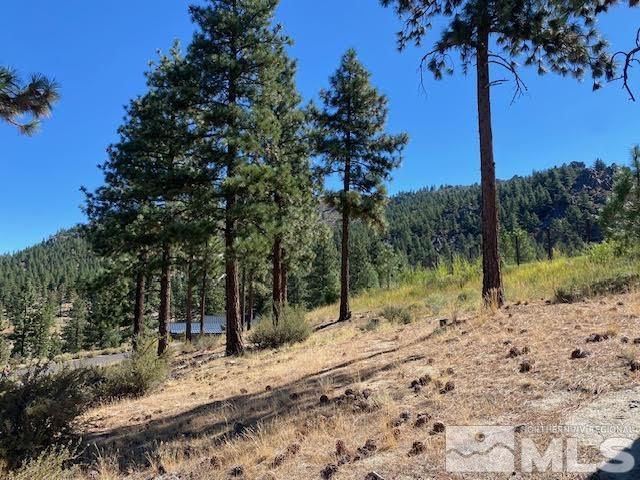 307 Senecas Ct, Carson City, NV 89705 - photo 5