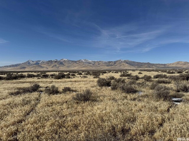 0 Springfield Rd, Winnemucca, NV 89445
