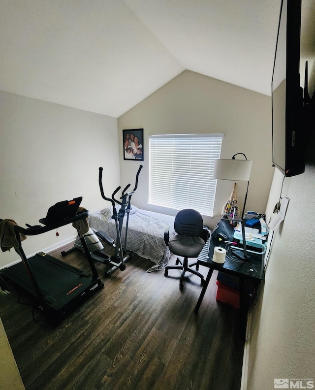 3348 Current Ct, Reno, NV 89509 - workout area featuring wood finished floors and vaulted ceiling