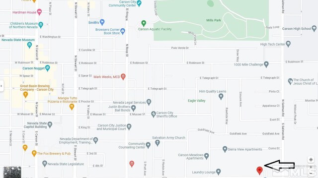 400 S Saliman Rd Unit 142, Carson City, NV 89701 - photo 27