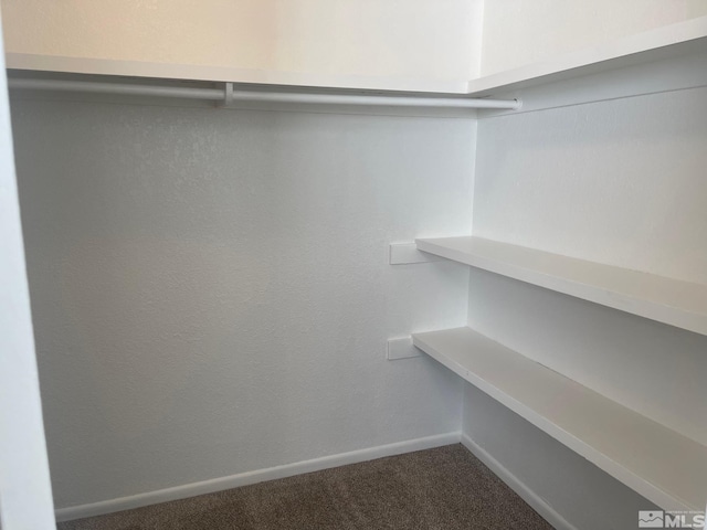 1145 Virbel Ln, Reno, NV 89502 - walk in closet with dark carpet